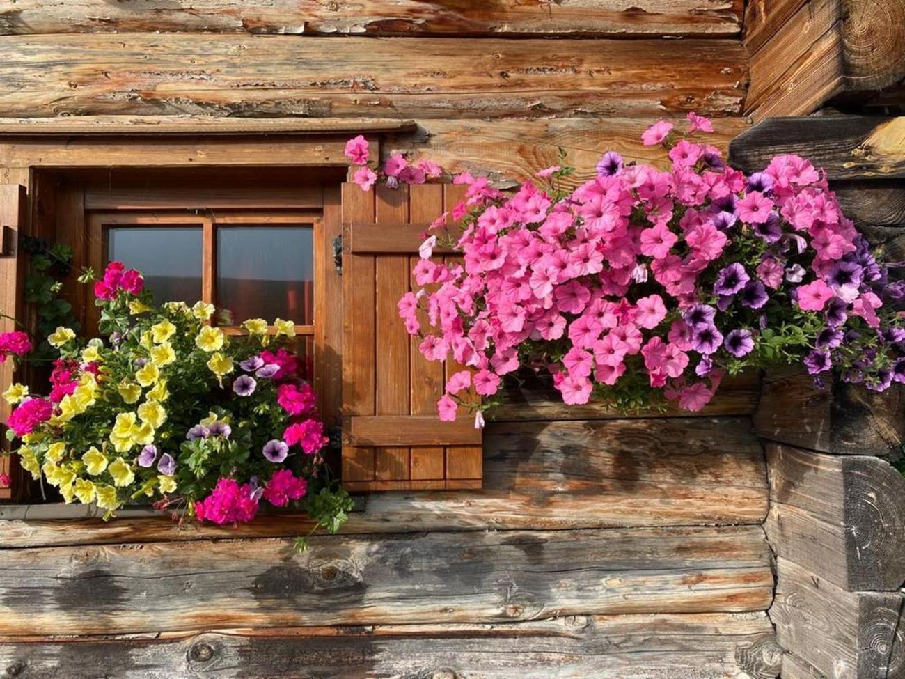 Planitzhof Villa กัสเตลรอตโต ภายนอก รูปภาพ